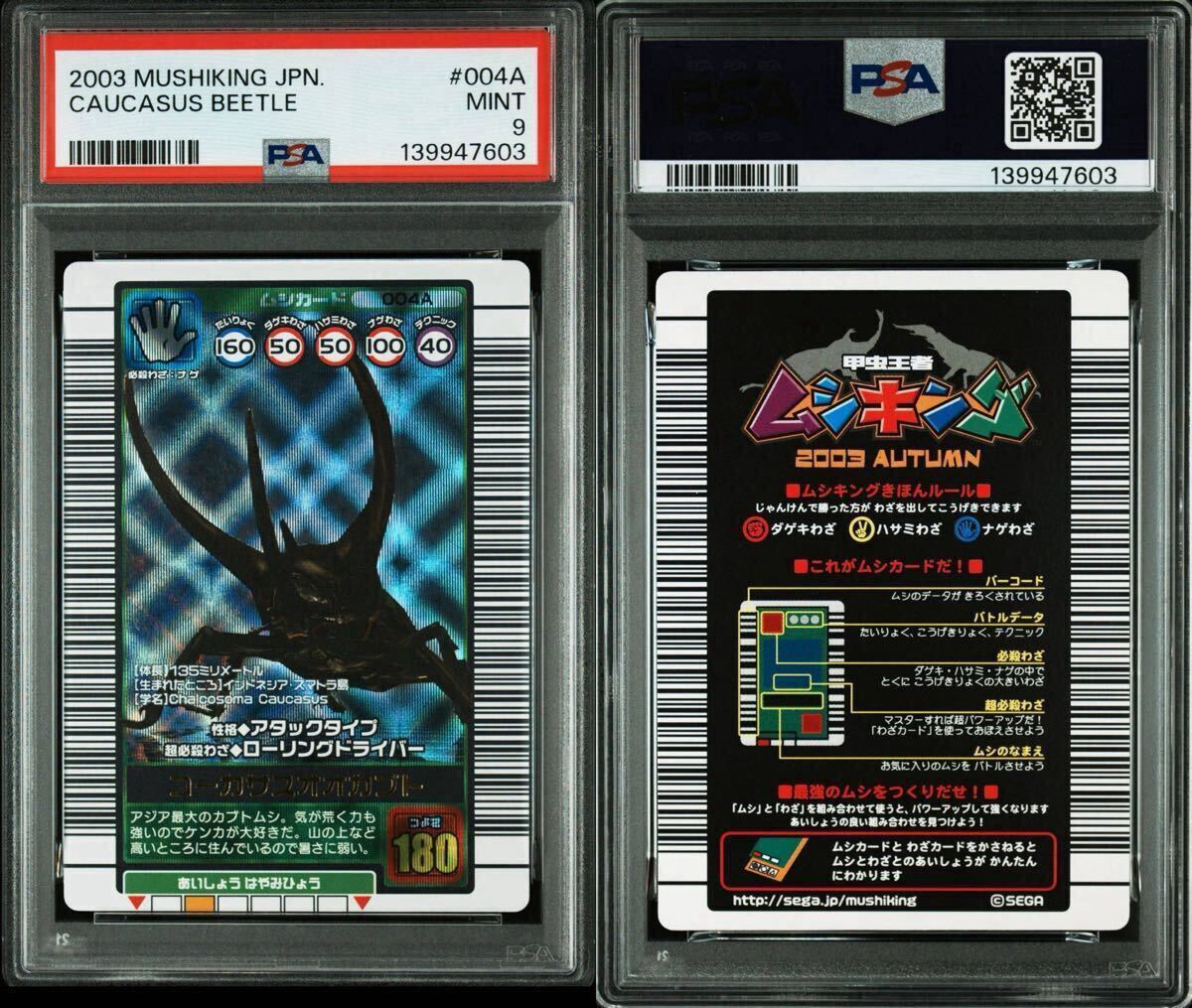 やや傷や汚れあり】☆甲虫王者ムシキング 2006 ネイチャー夏