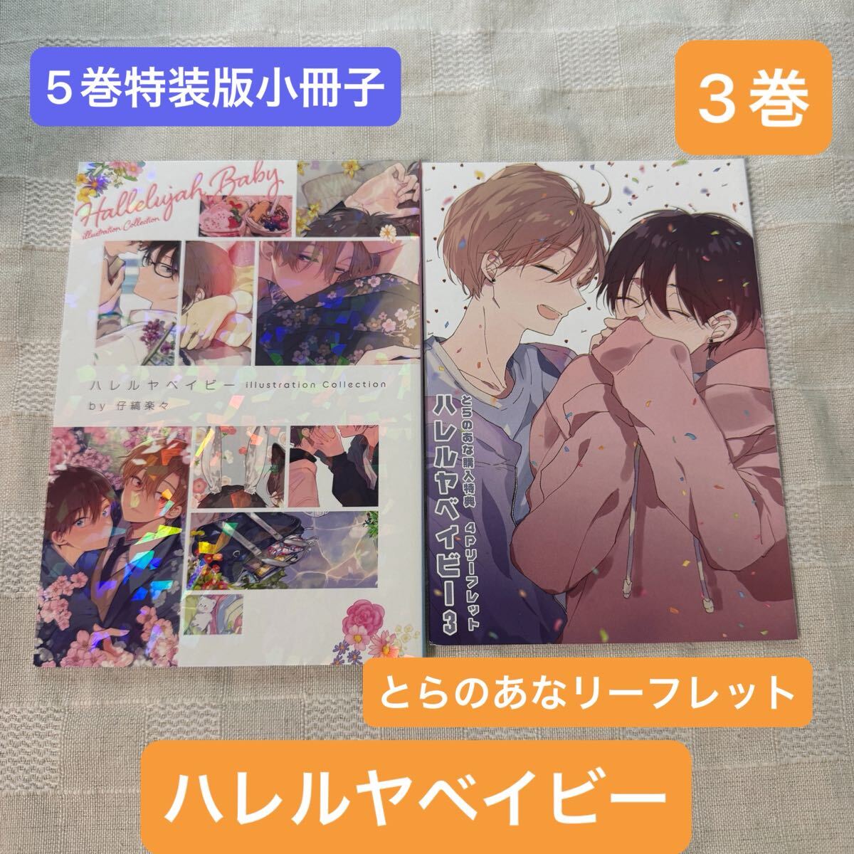 目立った傷や汚れなし】7/13発売○【特装版】ハレルヤベイビー(5