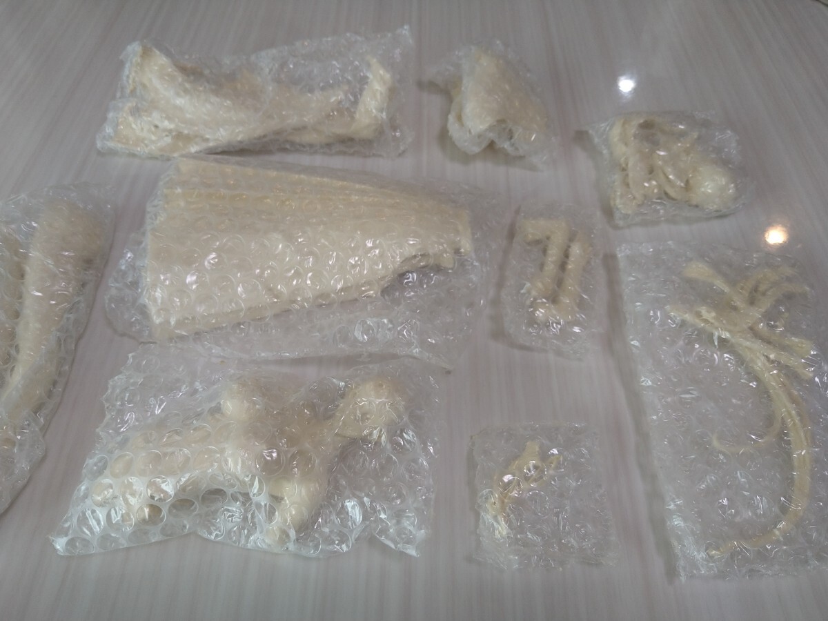 ☆中古☆【未組立】戦国ブレード 1/6キャストモデル こより（水着 