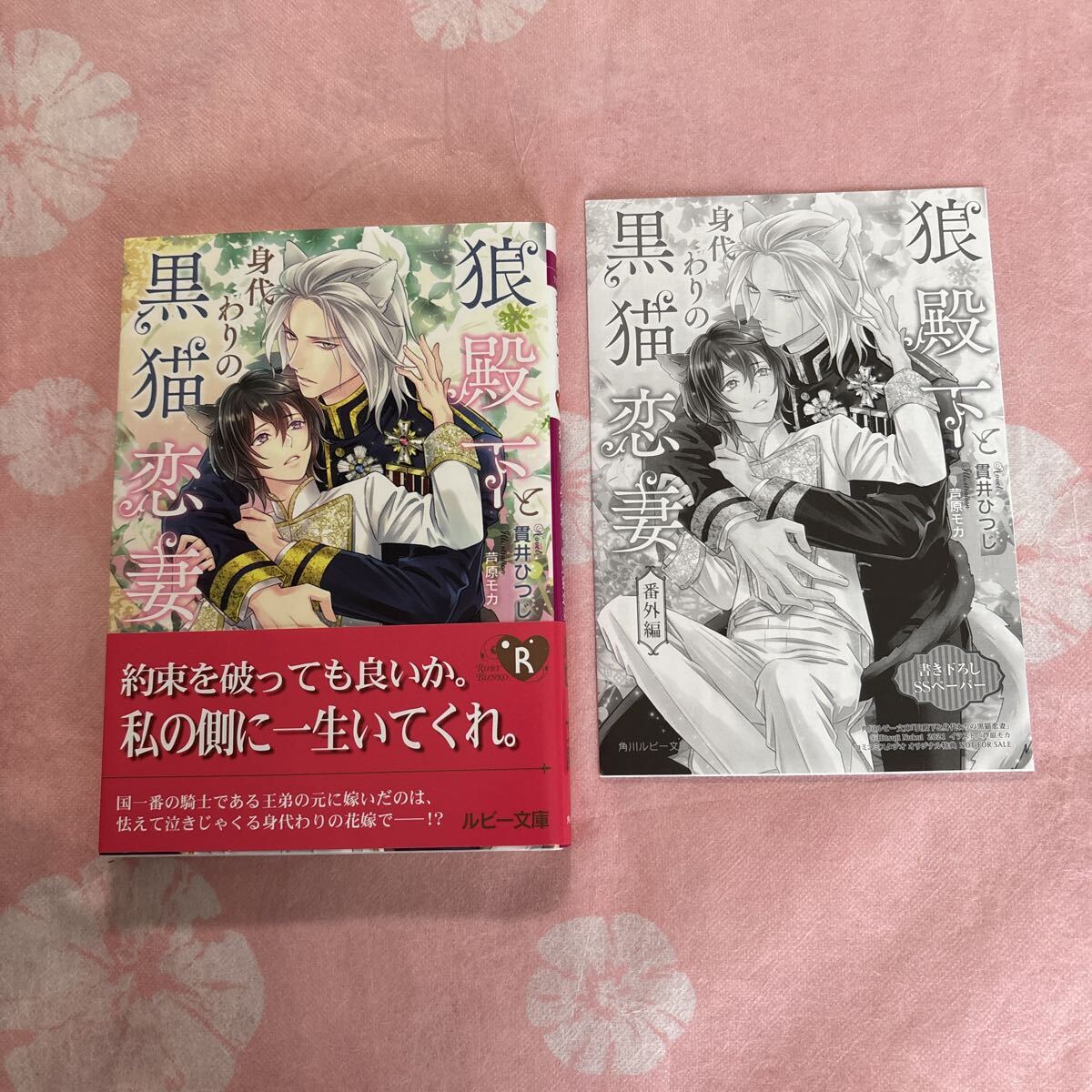 やや傷や汚れあり】BL小説☆崎谷はるひ☆30冊セット☆幻冬舎ルチル文庫