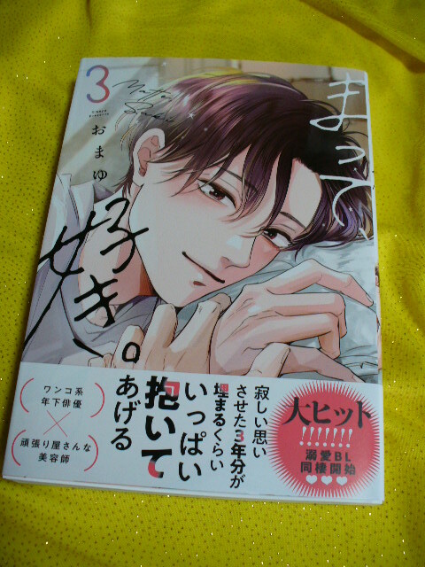 目立った傷や汚れなし】6月新刊BL* どっちも愛してくれるよね 水谷梓