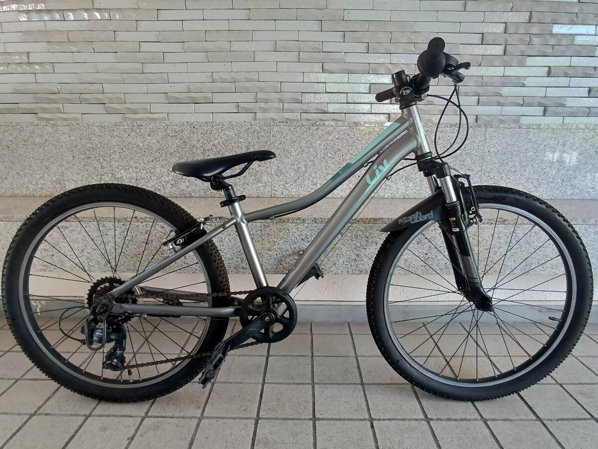 GIANT ジャイアント MR4 クロスバイク シルバー 折りたたみ自転車東京