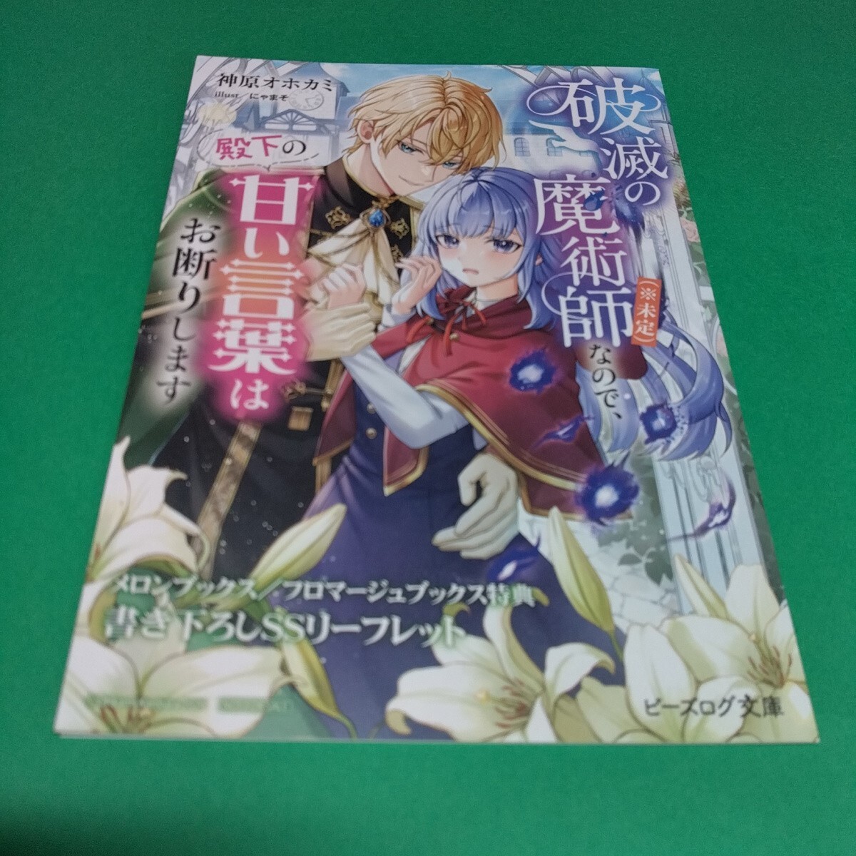 未使用】魔技科の剣士と召喚魔王 18巻 メロンブックス購入特典 4P