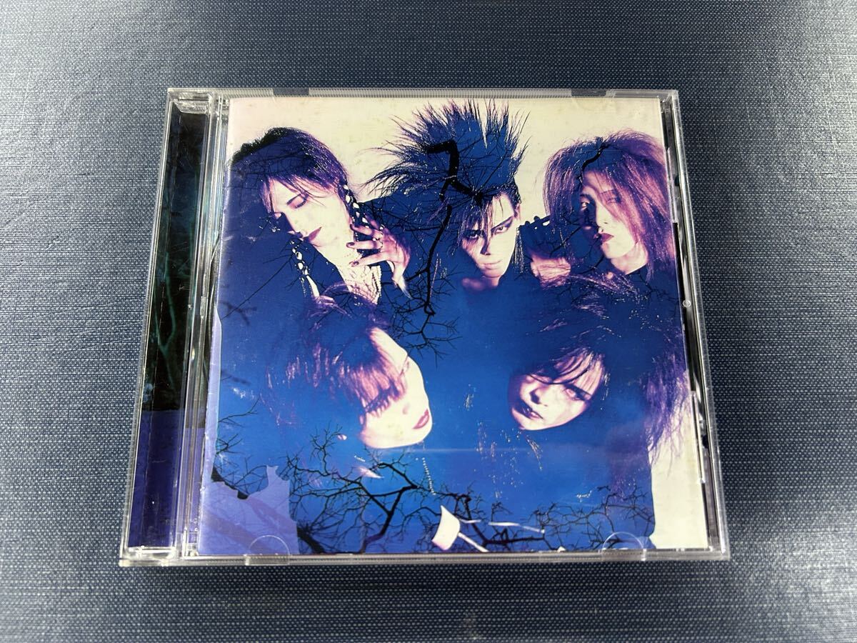 □LUNA SEA(ルナシー/河村隆一さん)□インディーズ・ファースト