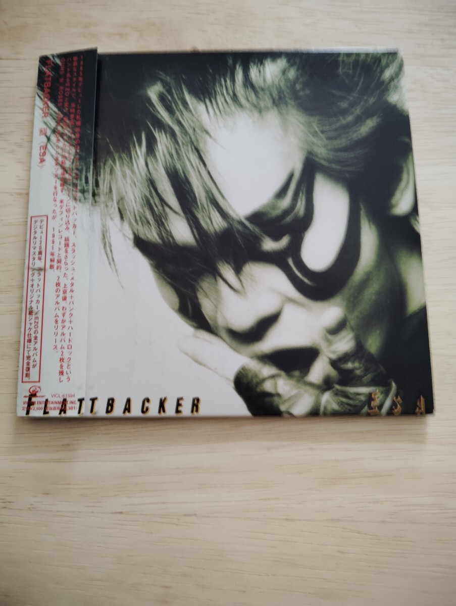 FLATBACKER 直筆サイン色紙 (フラットバッカー ジャパメタ E・Z・O FLATBACKER 直筆サイン色紙 額装 / 山田雅樹直筆サイン色紙はおまけ