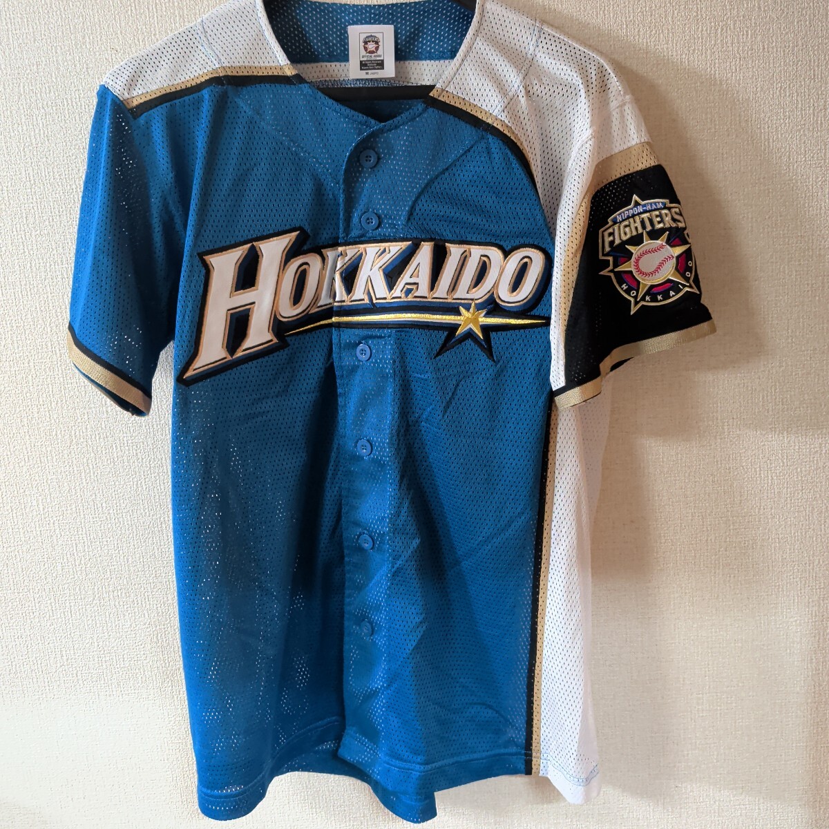 北海道日本ハムファイターズ #2 小笠原道大 2004/2010 ホーム
