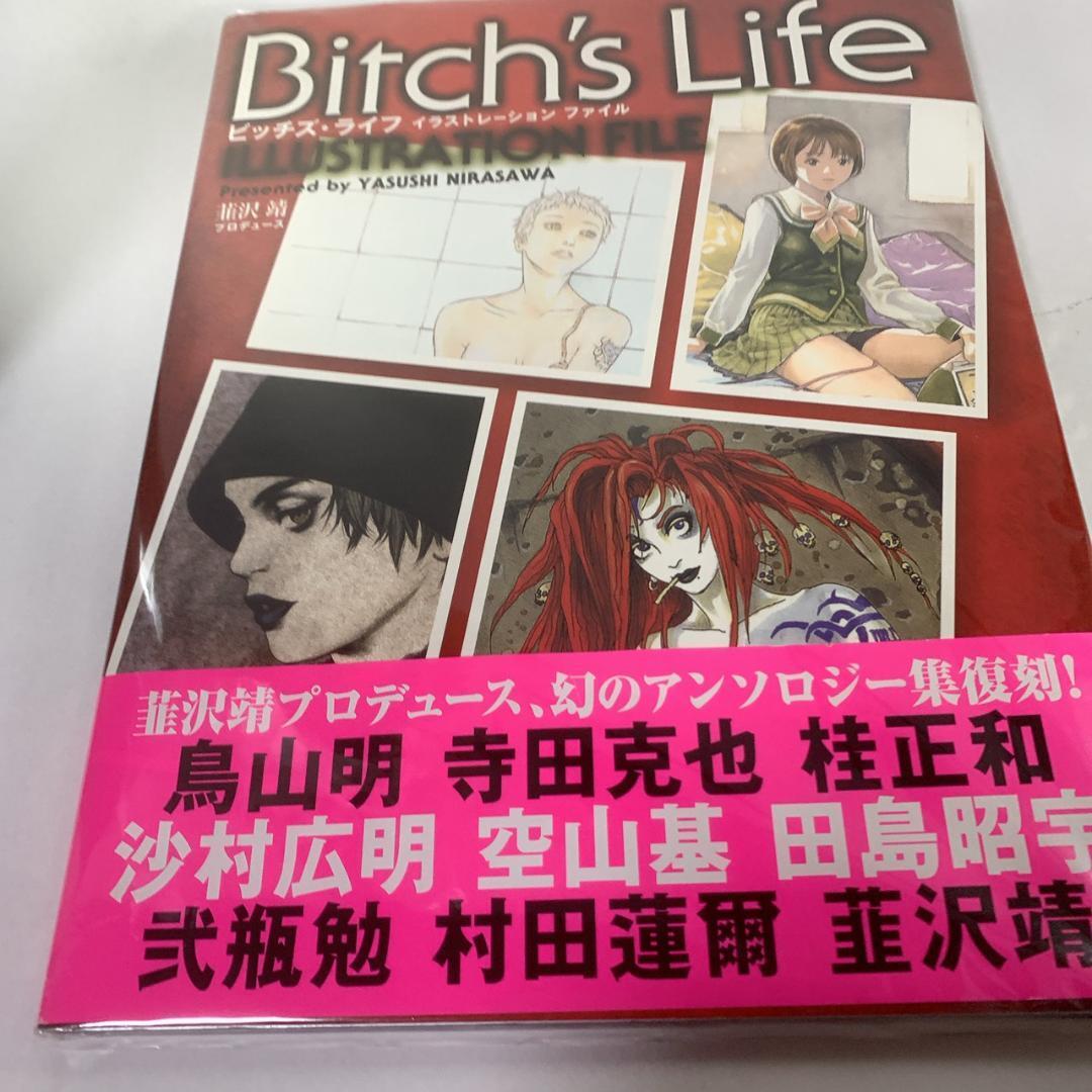 美品】 BITCH'S LIFE イラストレーションファイル ビッチズ ライフ