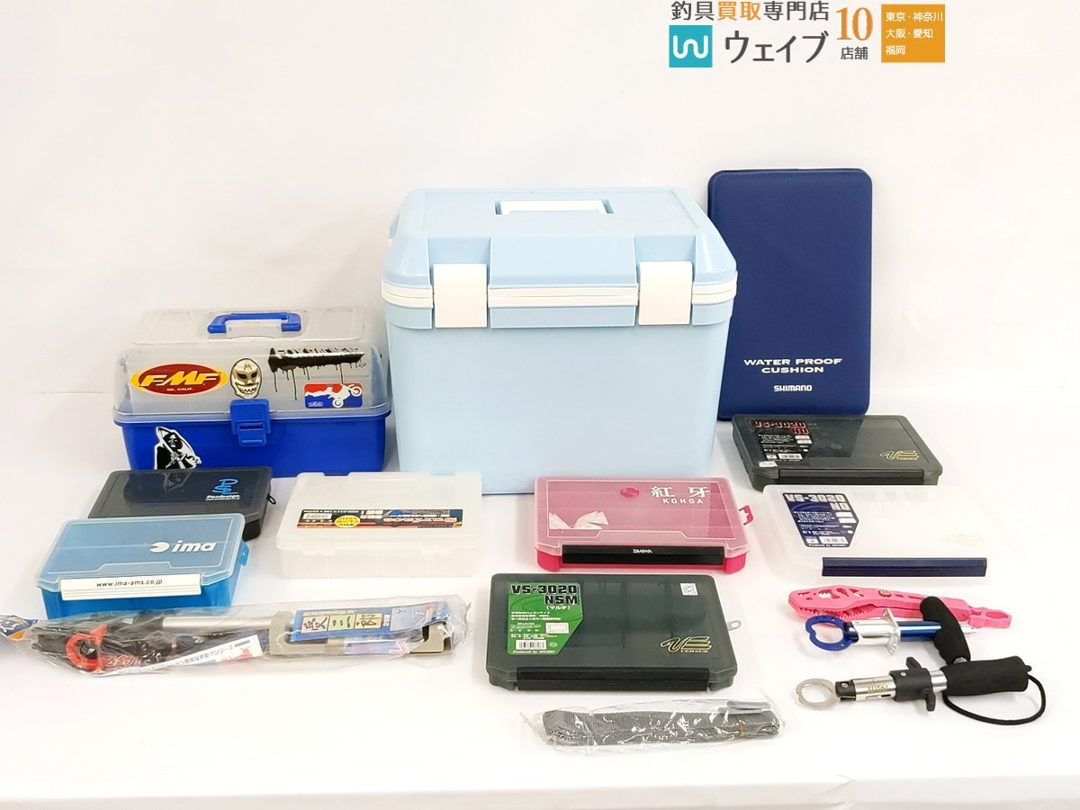 マイクロエース A-8112 伊豆急 100系 非冷房 6両セット(改造グリーン車