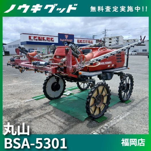YM　つくし袴無し2キロ千葉県産農薬未使用 YM つくし袴無し2キロ千葉県産農薬未使用 YM つくし袴無し2キロ千葉県
