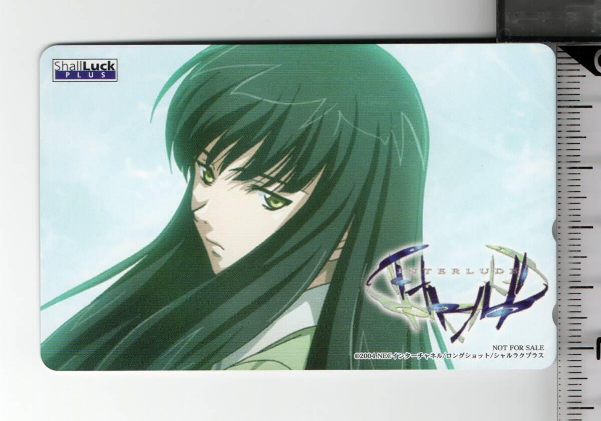 新品】インタールード／INTERLUDE 丸藤泉美テレカ（未使用品） 堀部