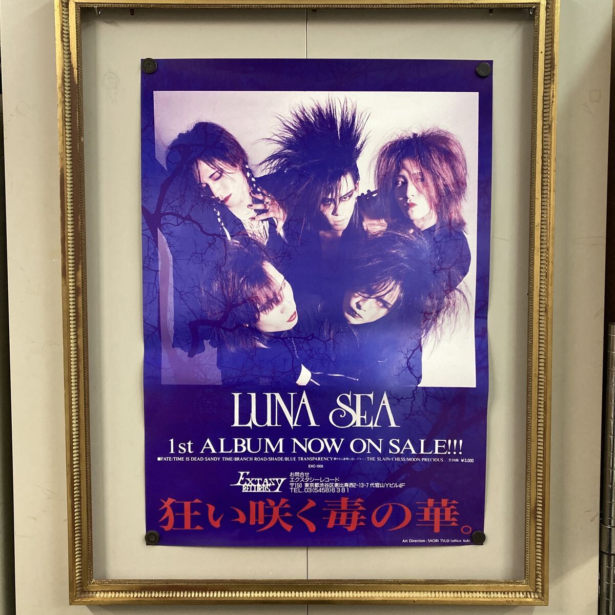 ♪LUNASEA切り抜き大量42枚！河村隆一SUGIZO宝生舞一色紗英J稲葉浩志