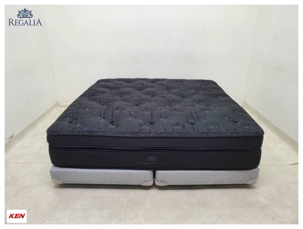 展示品 美品 イタリア製 erba「SOGNO」88万 奥山清行 本革 羽毛 2.5