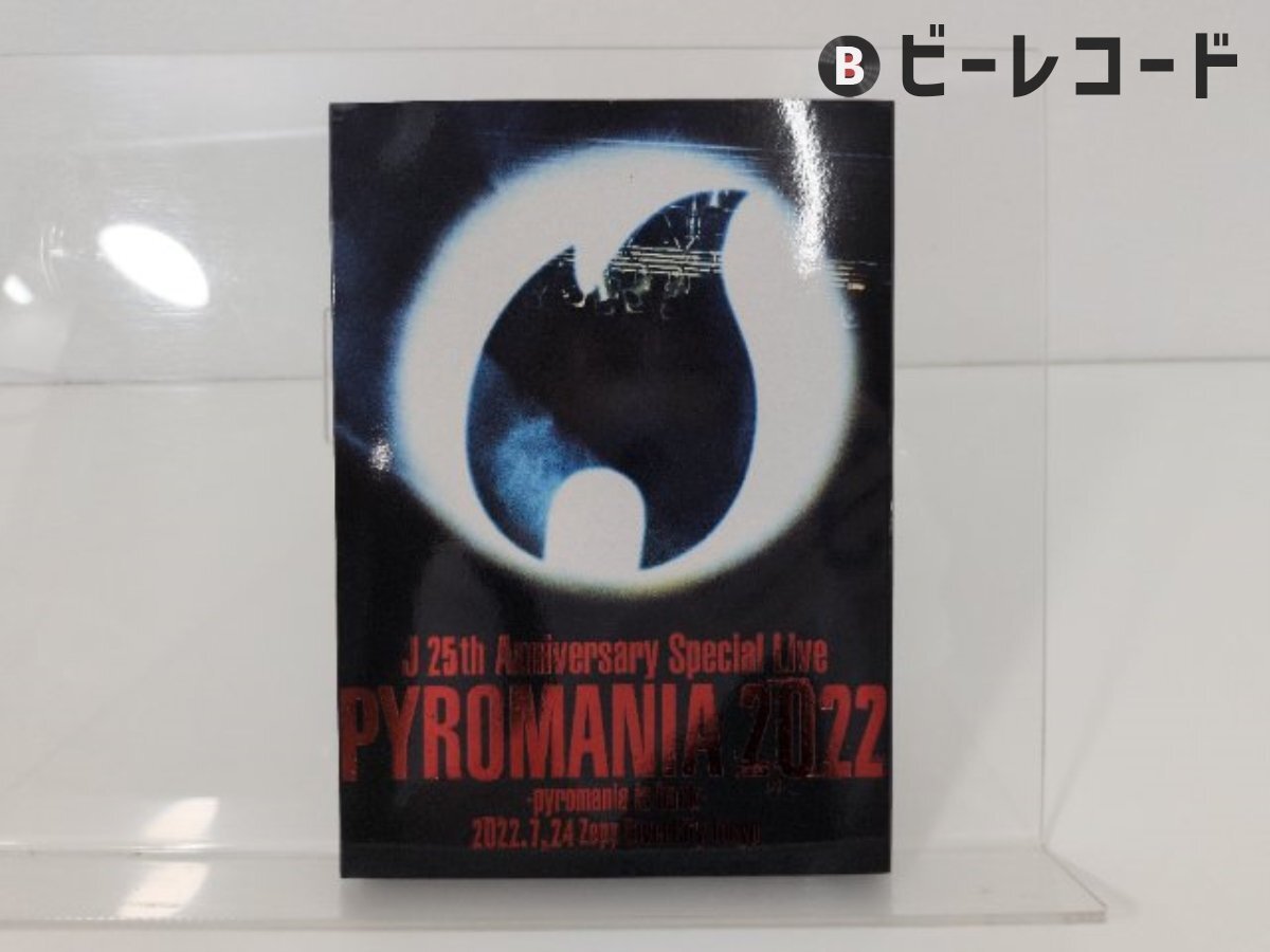 やや傷や汚れあり】【13CD/2VHS/1グッズ】LUNA SEA ルナシー まとめ