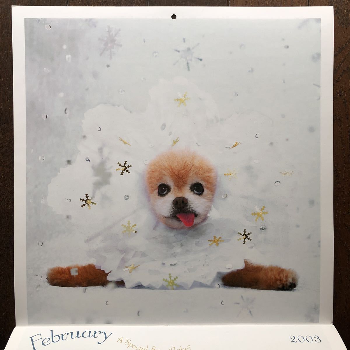 03年カレンダー What Is Mr Winkle 可愛い過ぎる癒し犬ウィンクル 書込みなし 中古品 の落札情報詳細 ヤフオク落札価格情報 オークフリー スマートフォン版