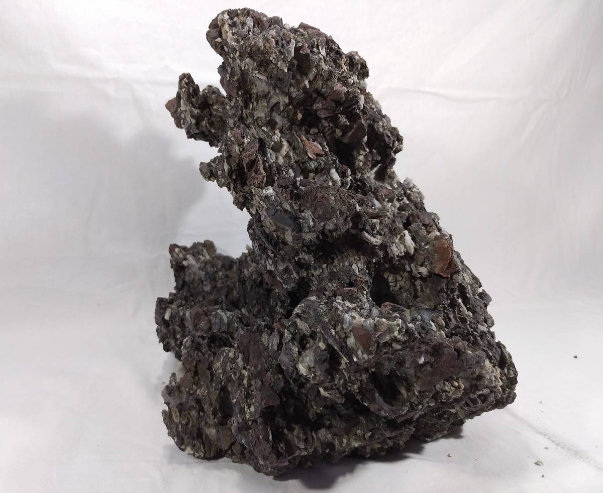 揖斐川 竜眼石 水石 鑑賞石