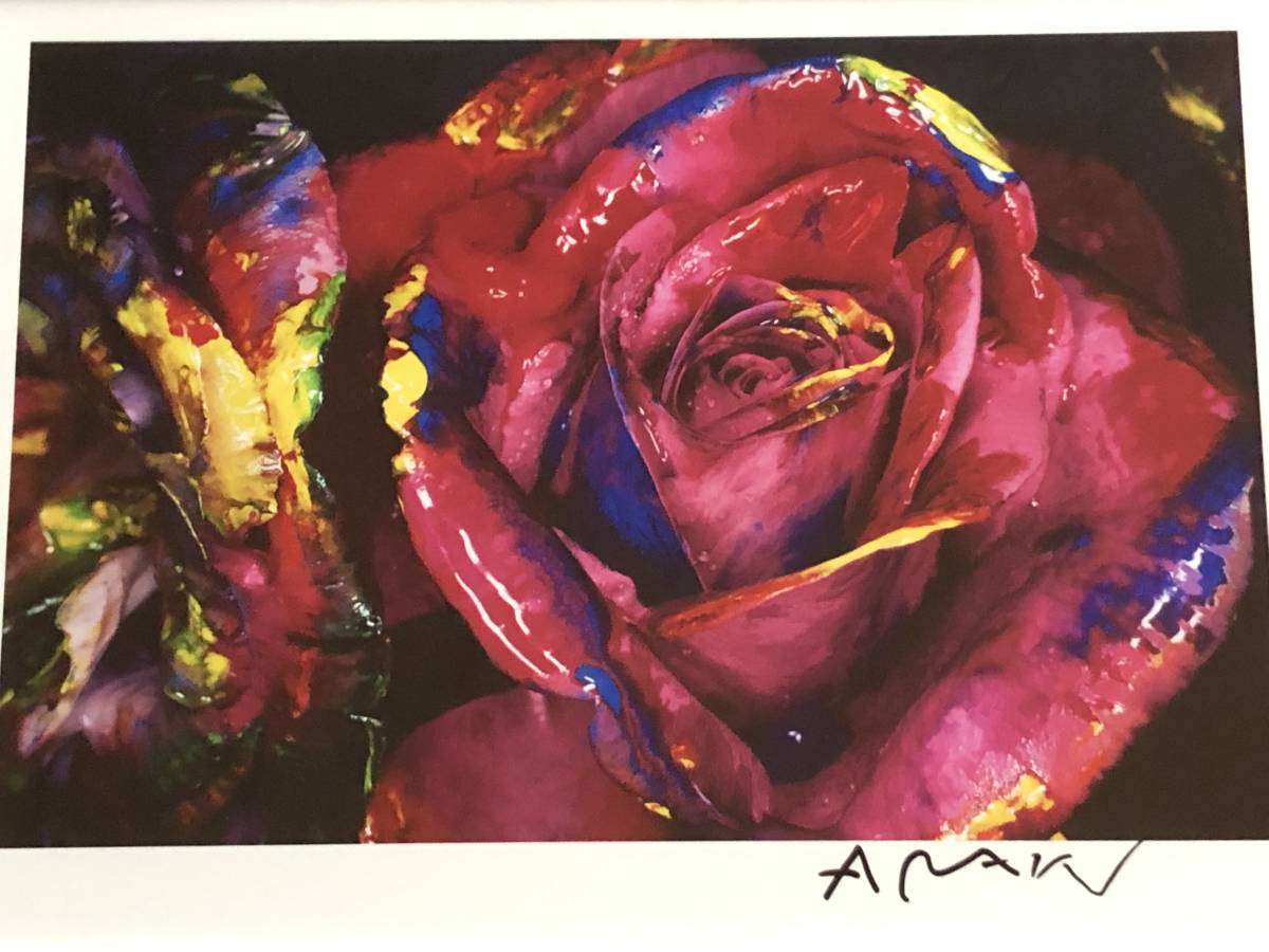 nobuyoshiaraki レア！荒木経惟 直筆サイン入プリント作品「色情花」額装/NobuyoshiAraki検)村上隆Leica奈良美智Banksy森山大道LarryClarkHarmonyKorineの落札情報詳細  - Yahoo!オークション落札価格検索 オークフリー