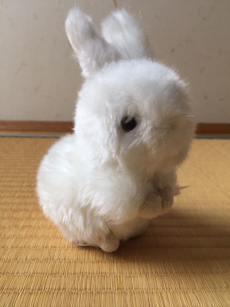 ふわふわ かわいいウサギのぬいぐるみ 白 送料2円 Animal Alley の落札情報詳細 ヤフオク落札価格情報 オークフリー スマートフォン版