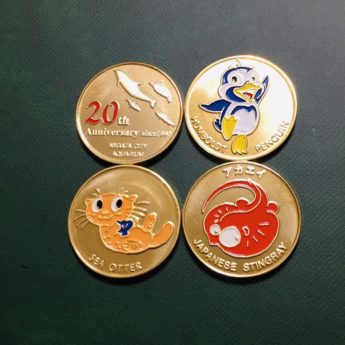 水族館4☆新潟☆マリンピア日本海9☆マンボウ☆記念メダル☆茶