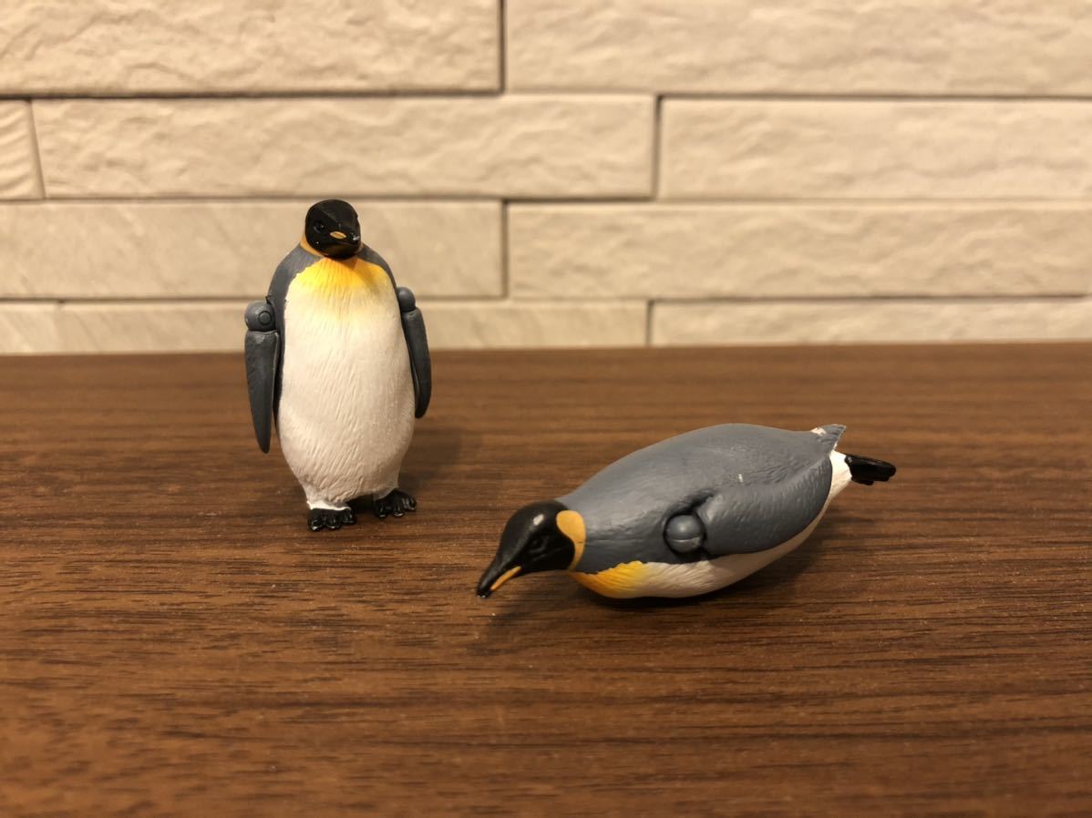 アニア アニマルアドベンチャー キングペンギン 動物フィギュア 旭山動物園 の落札情報詳細 ヤフオク落札価格情報 オークフリー スマートフォン版