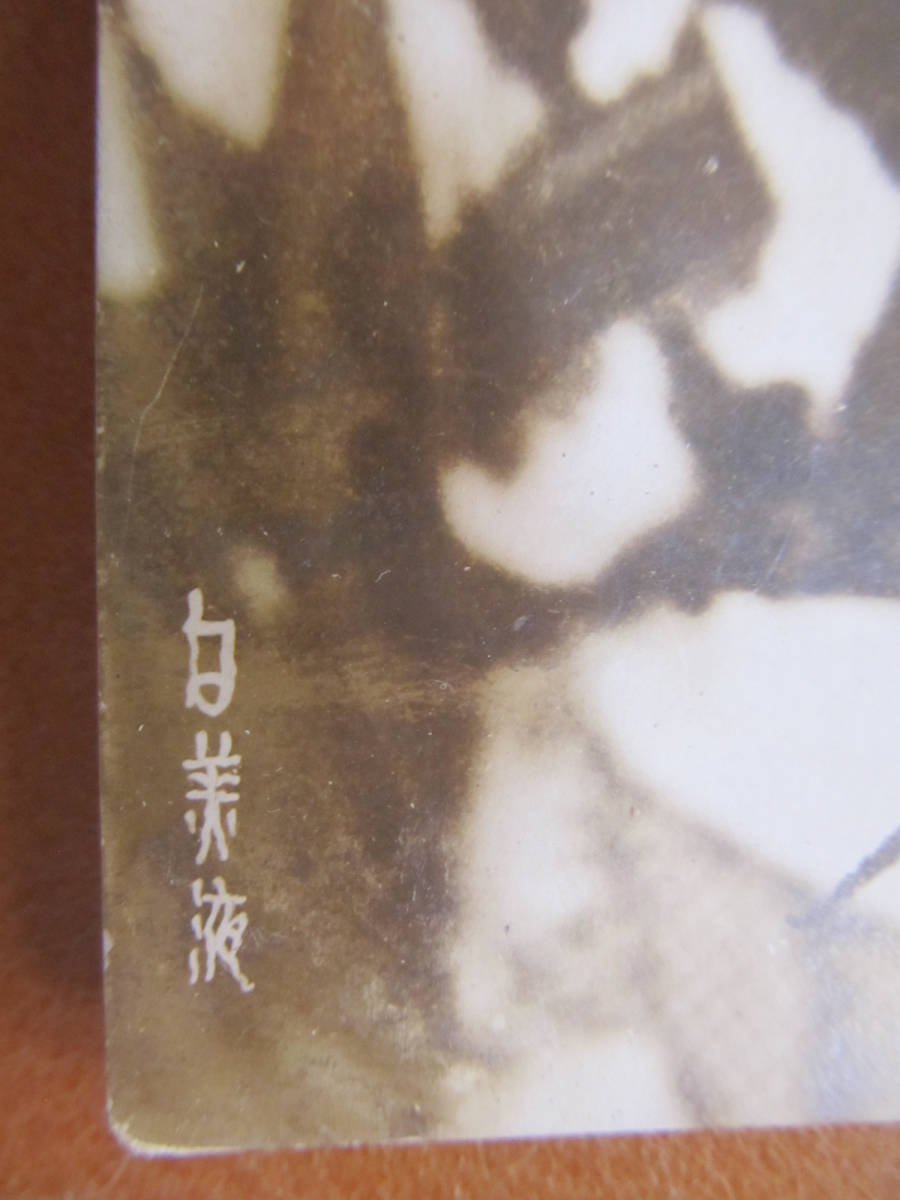 及川道子】白美液 廣告ブロマイド ＊化粧水、美人女優、繪葉書大＊の