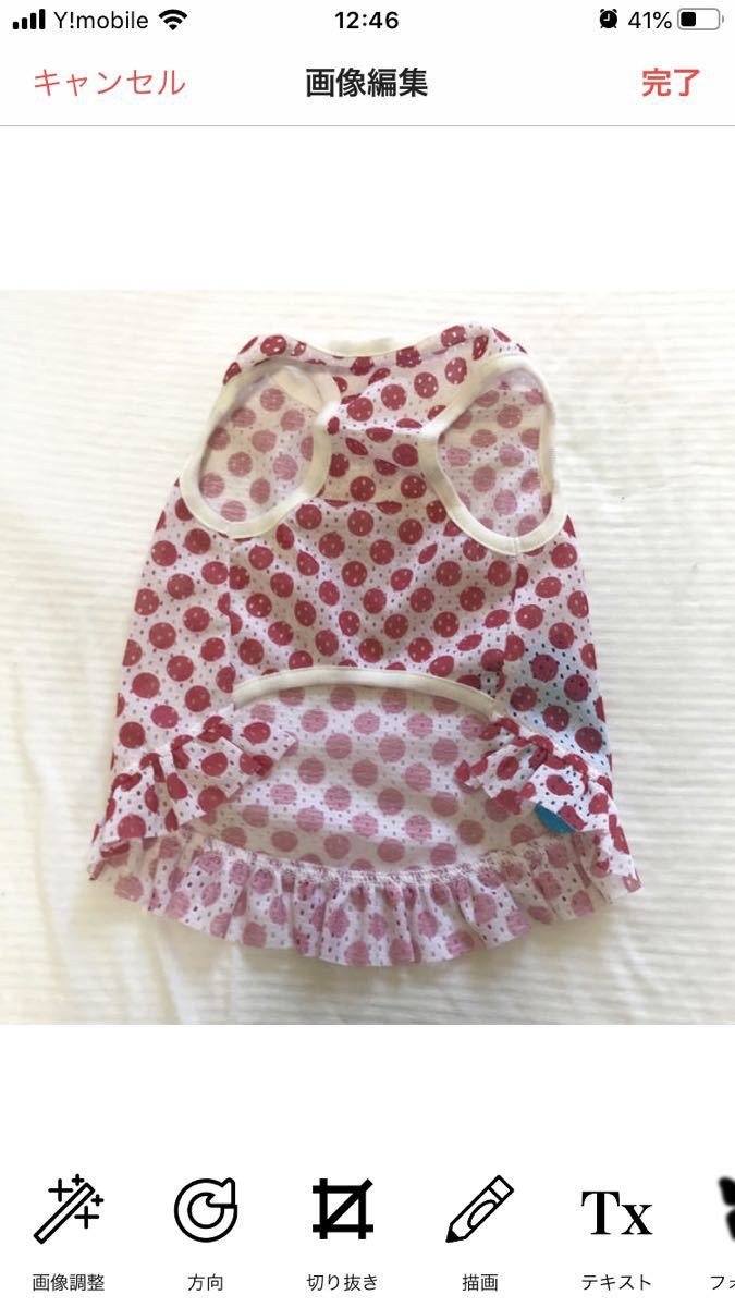 新品 Blue Bell ブルーベル クール水玉ワンピース 犬服 の落札情報詳細 ヤフオク落札価格情報 オークフリー スマートフォン版