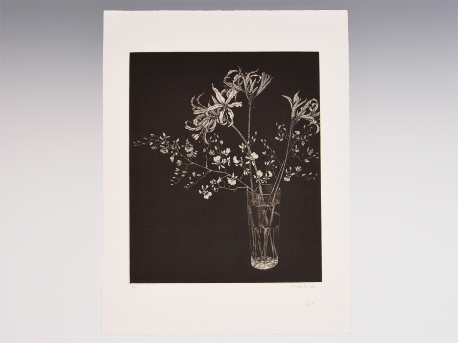 丹阿弥丹波子　こでまり　メゾチント　サイン有り シリーズ\u003c現代の作家\u003e丹阿弥丹波子 ～光と闇に咲く豊穣の花～ ｜ 展覧