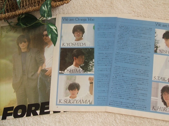 レア? ☆37年前☆ クール!! 杉山清貴＆オメガトライブ/杉山清貴*ステキ