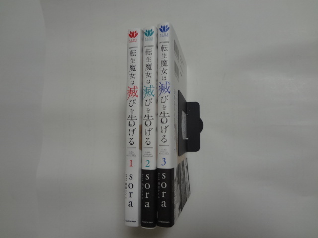 転生魔女は滅びを告げる 1 3巻 Sora 全巻初版 3巻 アニメイト特典 イラストペーパー付 の落札情報詳細 ヤフオク落札価格情報 オークフリー スマートフォン版