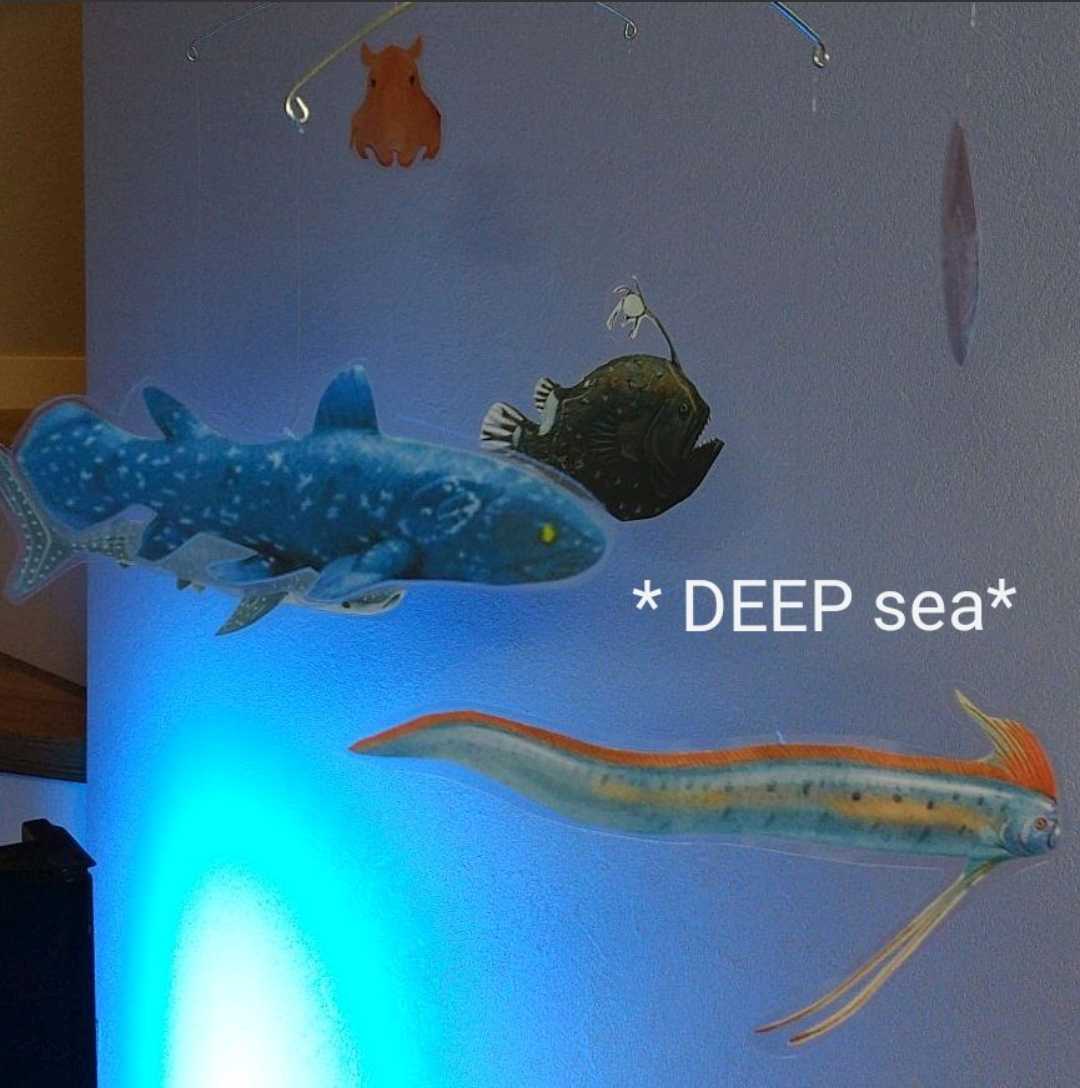 新品】** 深海魚 古代魚 モビールリュウグウノツカイ メンダコ 