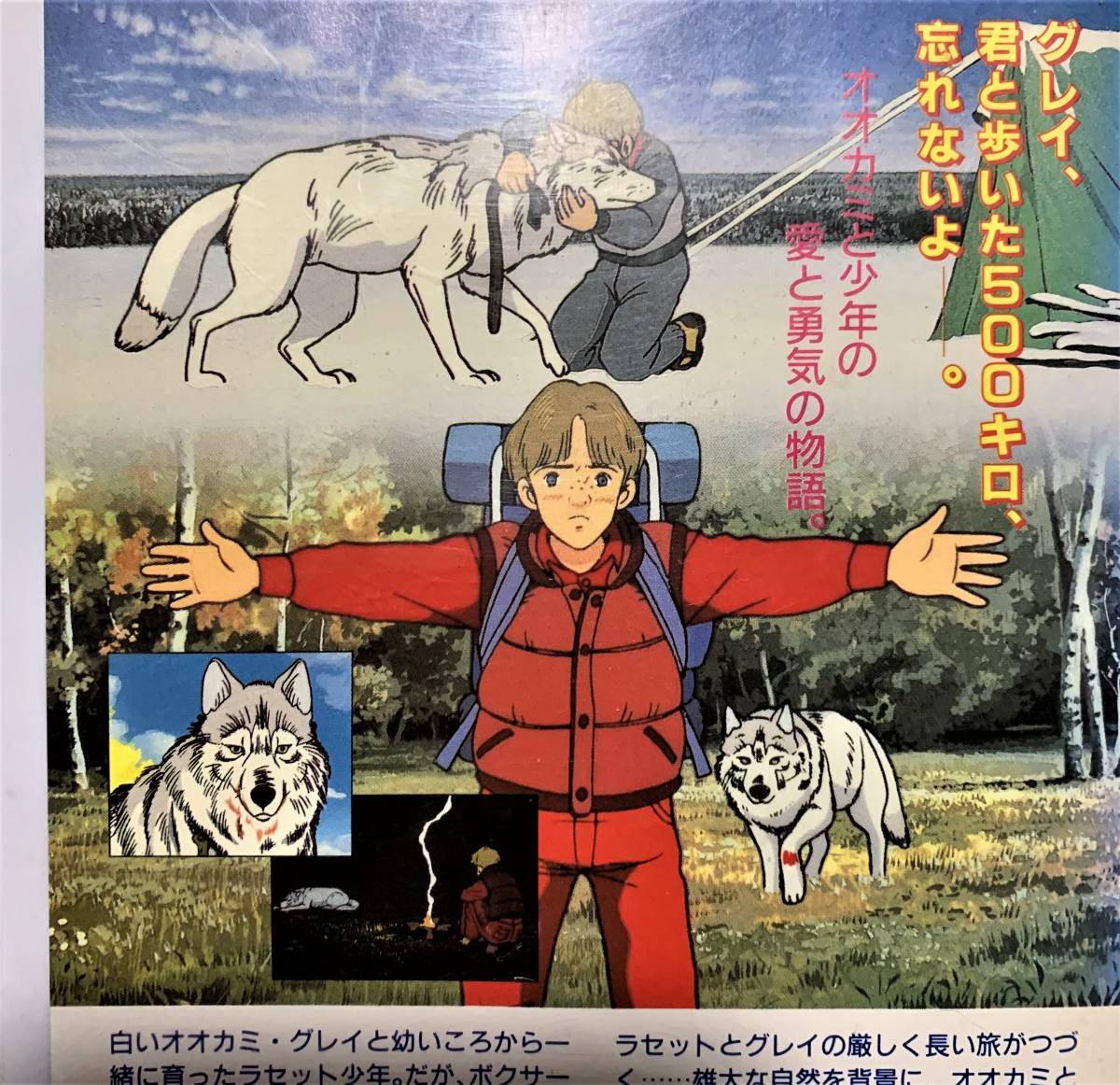 絶版！希少☆文部省特選☆走れ！白いオオカミ☆ビデオ（VHS）中古品 
