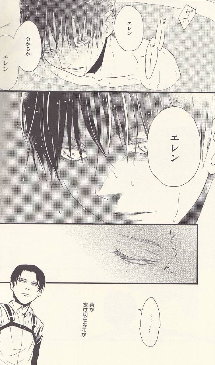 進撃の巨人 泥コッペリア 地下室で一番の美人 総集編 総集編 リヴァエレ の落札情報詳細 ヤフオク落札価格情報 オークフリー スマートフォン版