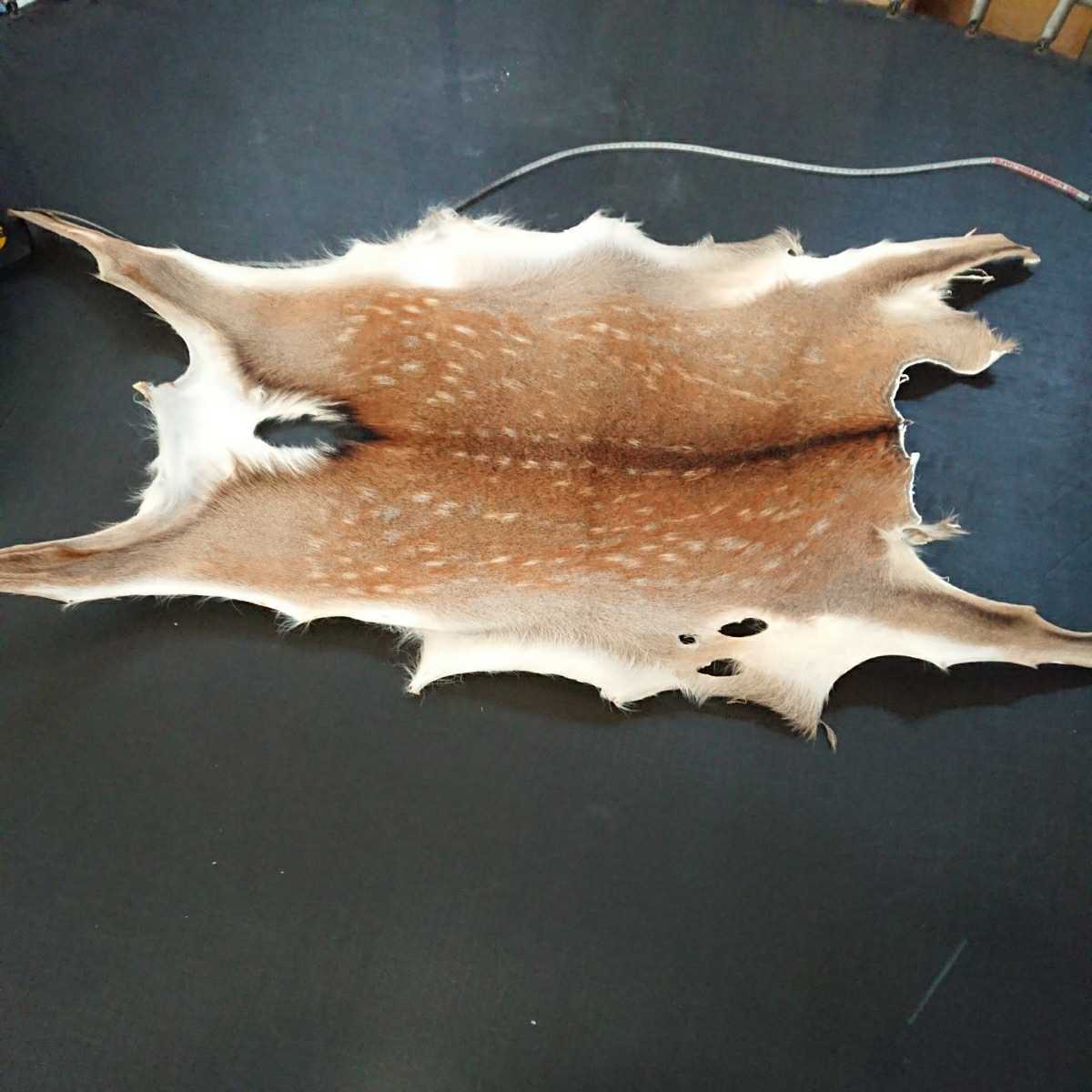 鹿革 鹿 皮 ミョウバンなめし 天然 ニホンシカ 約170cm 80cm 鹿の子 模様 素材 レザークラフト ディアスキン の落札情報詳細 ヤフオク落札価格情報 オークフリー スマートフォン版