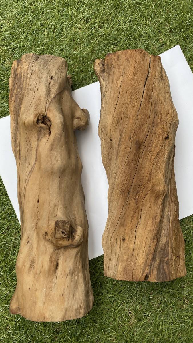 流木 空洞 使い方いろいろ の落札情報詳細 ヤフオク落札価格情報 オークフリー スマートフォン版