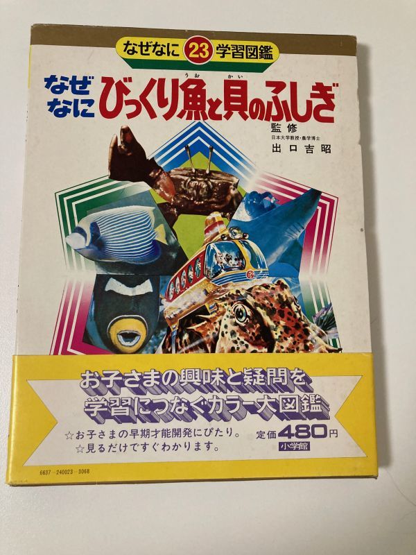 なぜなにびっくり魚と貝のふしぎ なぜなに学習図鑑23 小学館 小松崎茂