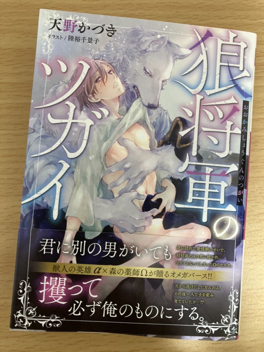 Bl ルビー文庫4月新刊 狼将軍のツガイ 天野かづき 挿絵 陸裕千景子 の落札情報詳細 ヤフオク落札価格情報 オークフリー スマートフォン版