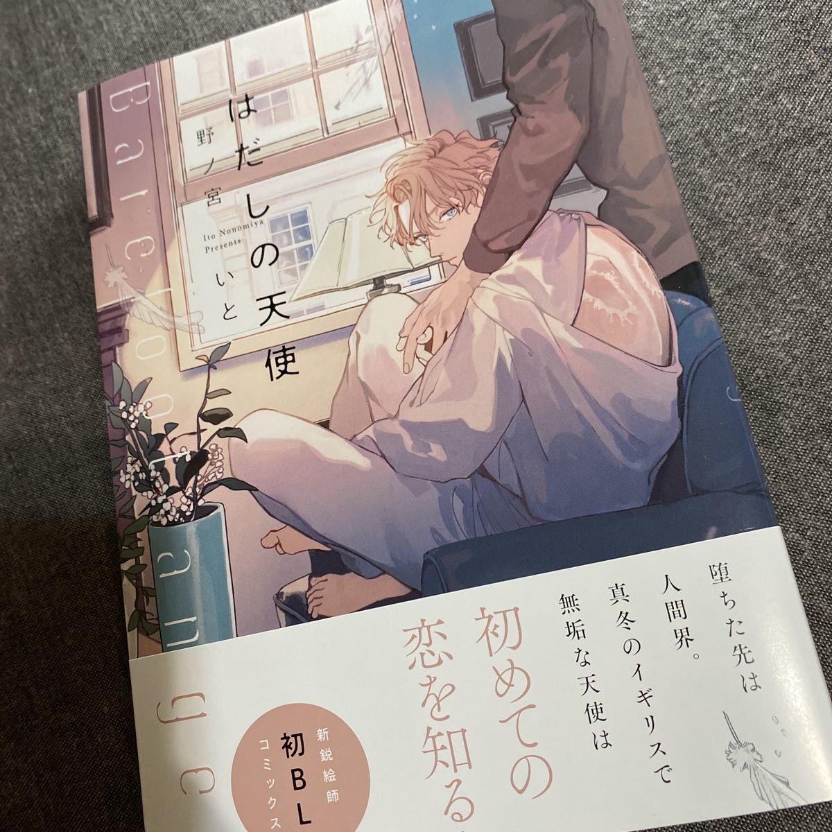 はだしの天使 野ノ宮いと リブレ ビーボーイコミックスdx 6月 新刊 Blコミックス 6 10 発売 の落札情報詳細 ヤフオク落札価格情報 オークフリー スマートフォン版