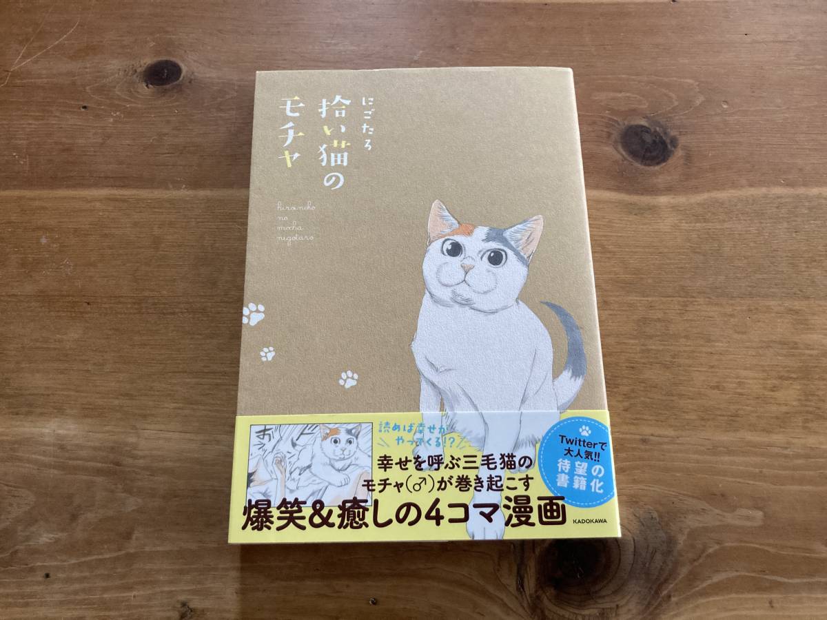 拾い猫のモチャ にごたろ ポストカード付き の落札情報詳細 ヤフオク落札価格情報 オークフリー スマートフォン版