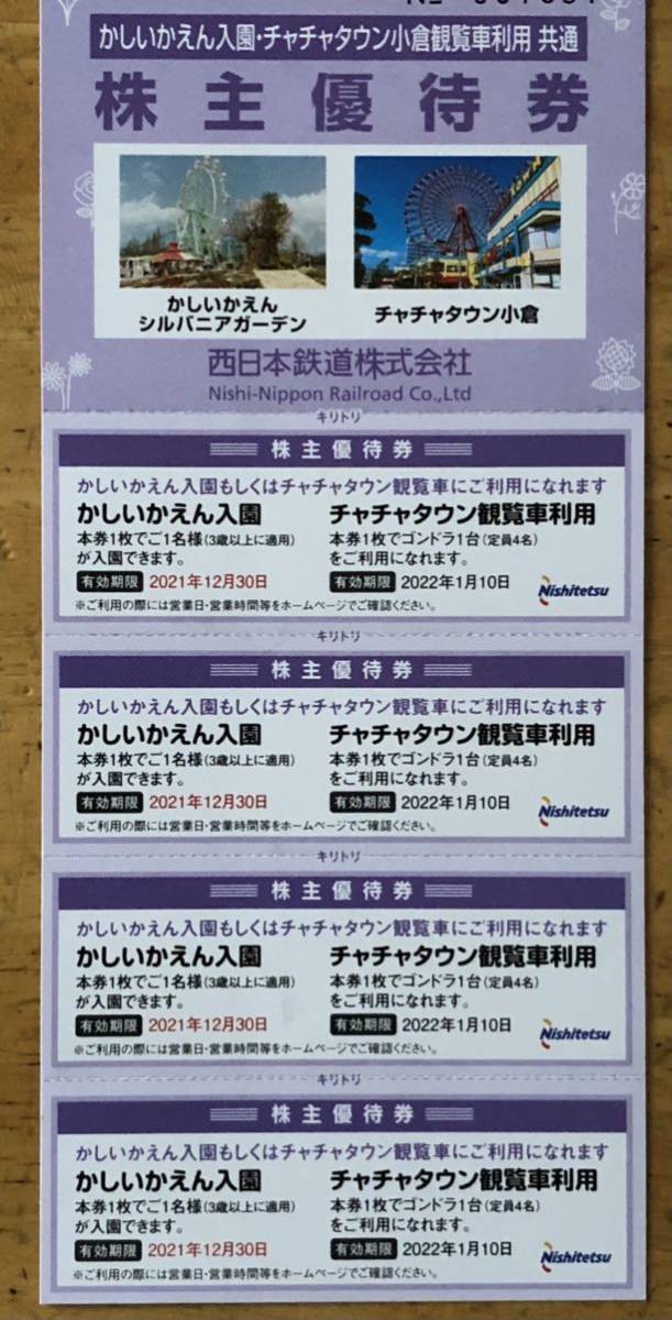 チャチャタウン 株主優待 1 10 即決送料無料 送料無料 新品 10 即決送料無料 チャチャタウン 株主優待 1 10 即決送料無料 送料無料 新品 10 即決送料無料