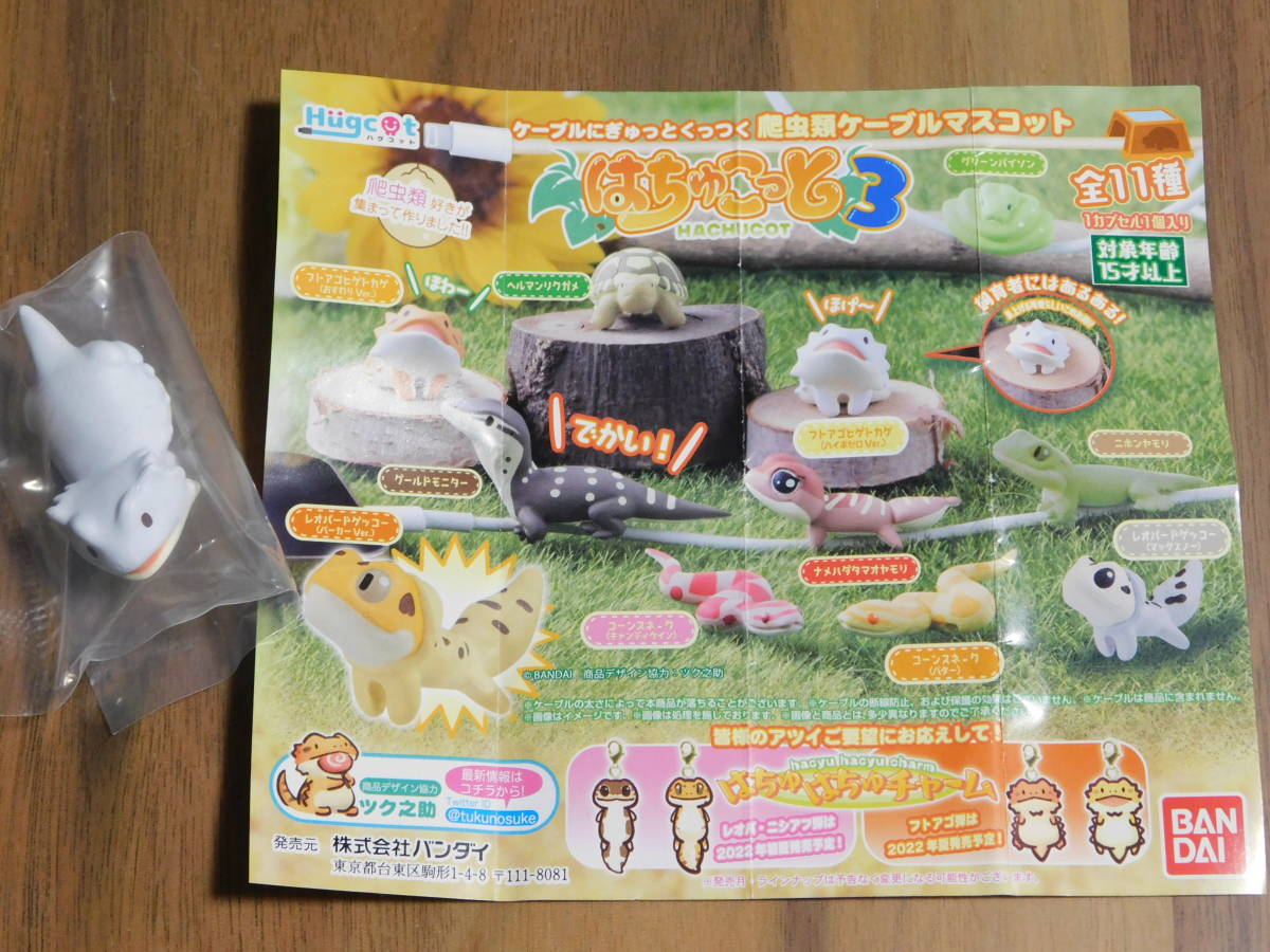 グルカゲン ハイポキットのリーフレット