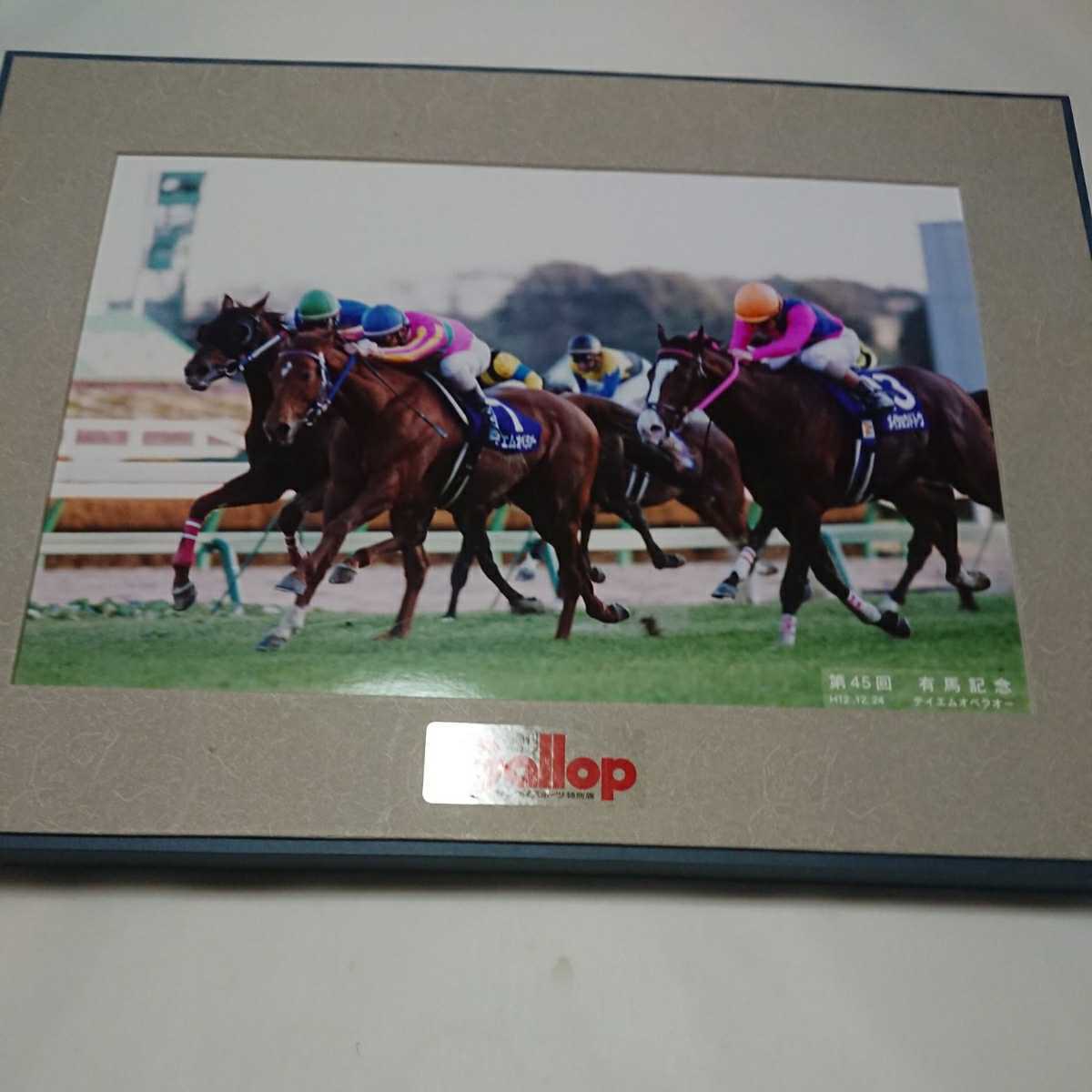 テイエムオペラオーの写真パネル やや傷や汚れあり】Gallop 写真パネル 第45回 有馬記念 テイエム