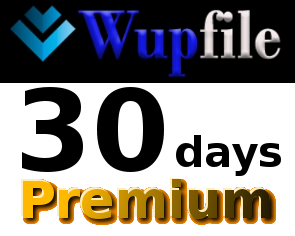 【未使用】即日発送！Wupfile プレミアム 30日間 初心者サポートの落札情報詳細 - ヤフオク落札価格検索 オークフリー