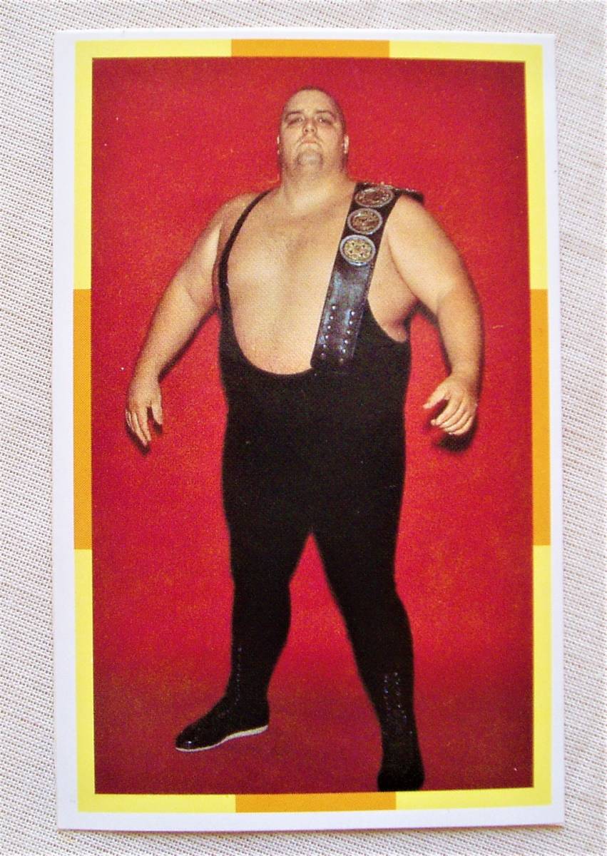 1984 Ljn WWF ハルク・ホーガン　アンドレ・ザ・ジャイアント 1984 Ljn WWF ハルク・ホーガン アンドレ・ザ・ジャイアント