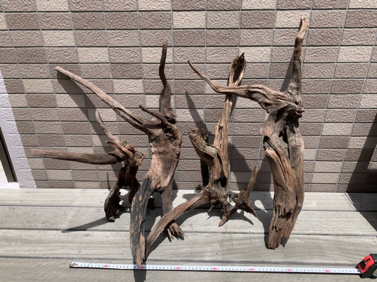 ADAホーンウッド流木6 ada ホーンウッド流木 L サイズ 正規品