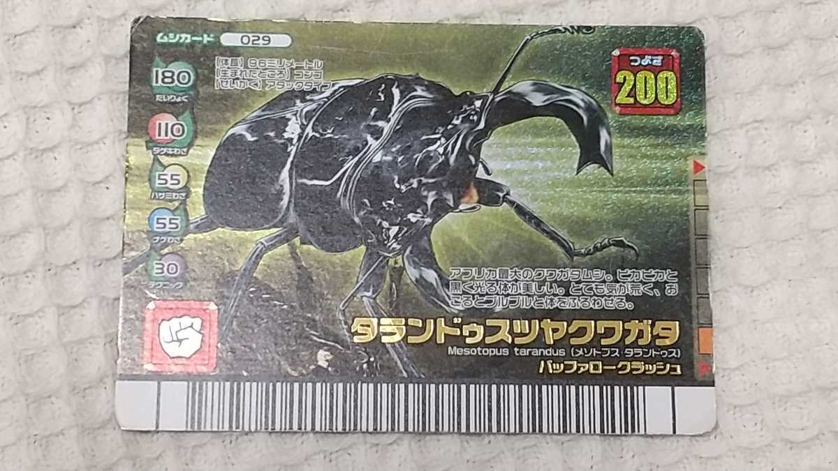 ムシキング　2003秋　タランドゥスツヤクワガタ　ムシカード　029A ムシキング2003秋タランドゥスツヤクワガタムシカード029A