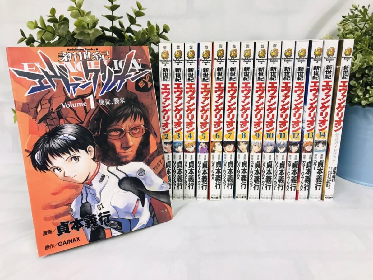 【全巻初版・帯付・チラシ完備】新世紀エヴァンゲリオン全14巻,公式ガイド,限定版 Amazon.co.jp: 新世紀エヴァンゲリオン 第14巻(プレミアム限定版