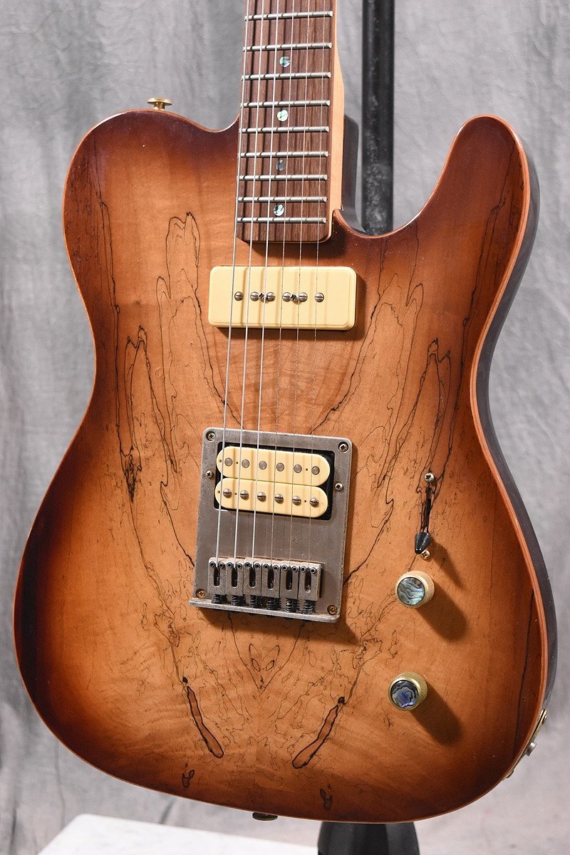 PLAYTECH プレイテック SGタイプ P-90