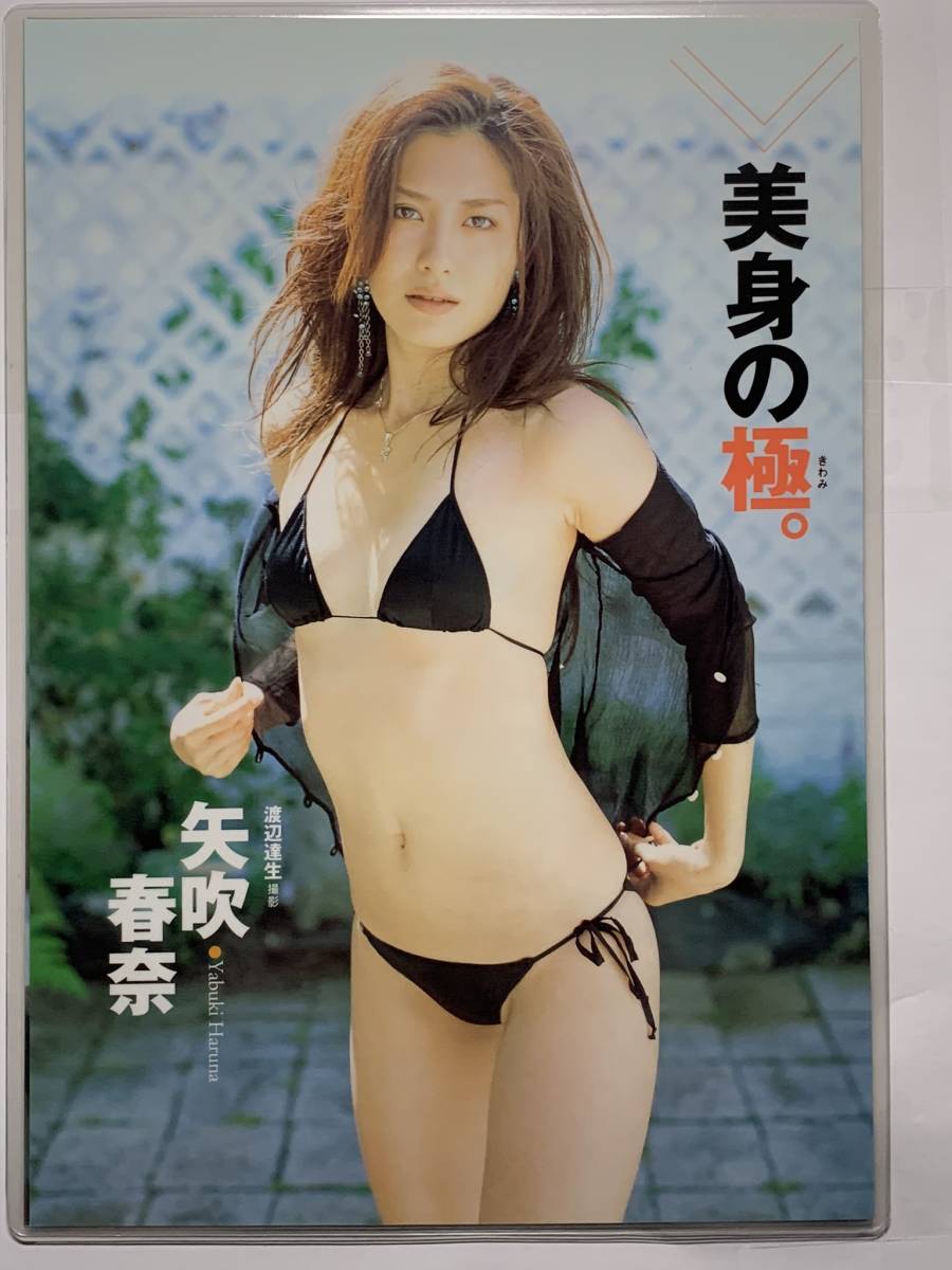目立った傷や汚れなし】【厚手ラミネート加工】矢吹春奈 水着 雑誌 