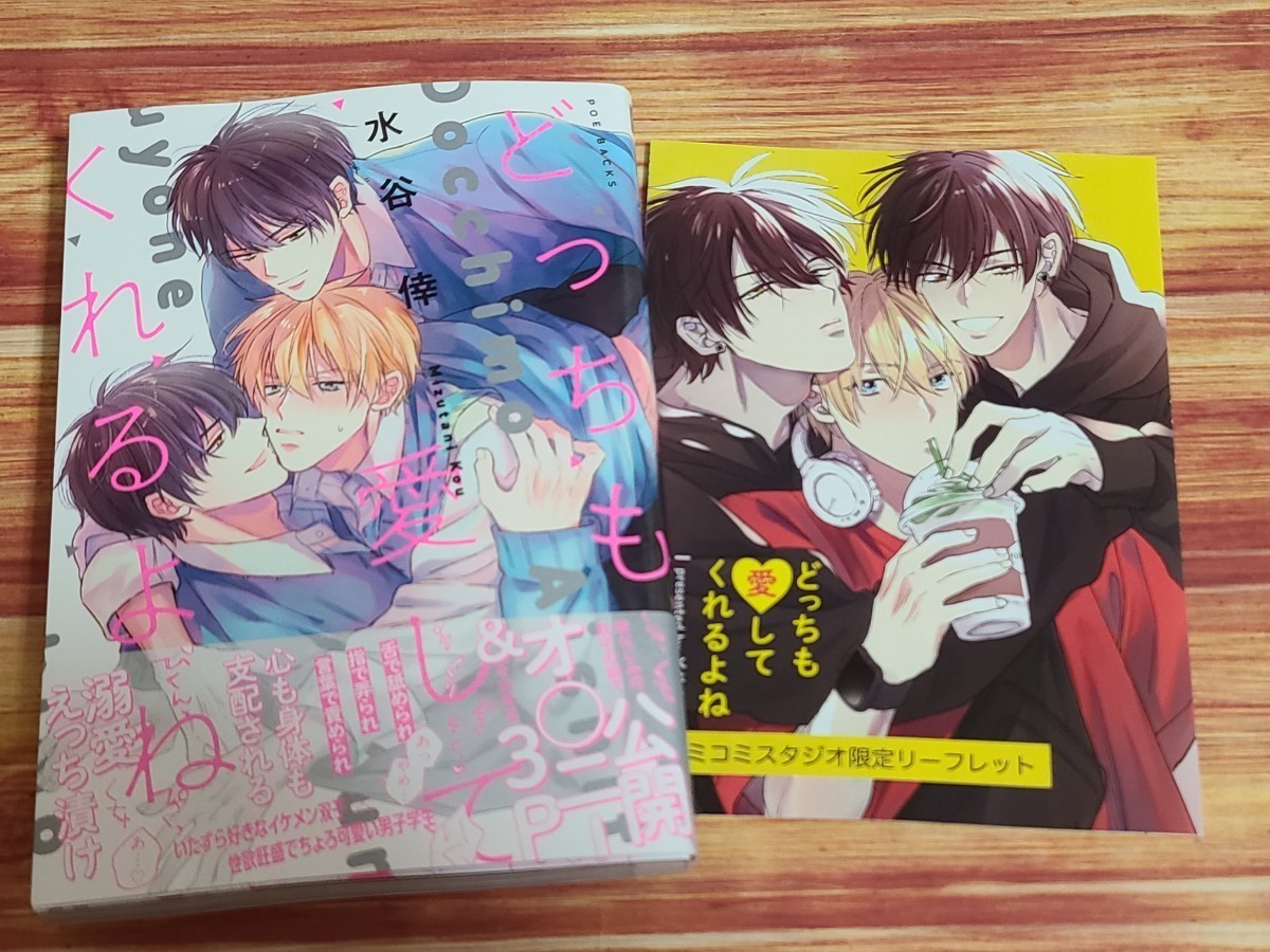 目立った傷や汚れなし】6月新刊BL* どっちも愛してくれるよね 水谷梓