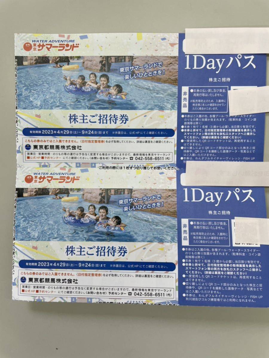 サマーランド】 1Dayパス 6枚 株主ご招待券 フリーパス 最速翌日