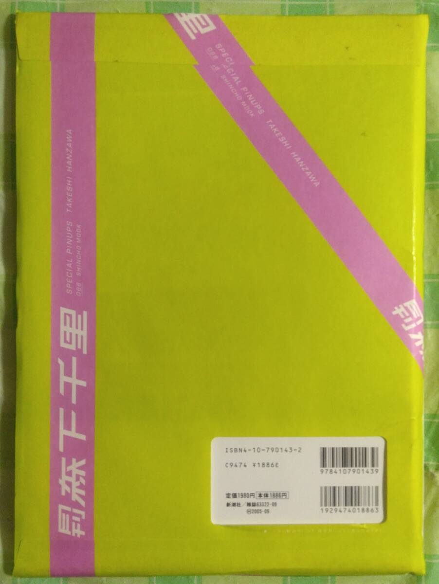 送料無料】 SHINCHO MOOK 森下千里 写真集 「月刊 森下千里 Ⅳ 